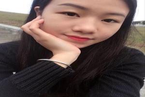 宠物小精灵之疾风传说